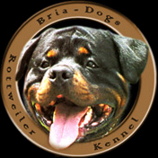 BRIA DOGS logo